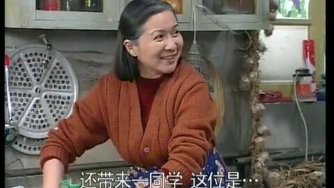 电视剧闲人马大姐，自信与成就感的励志之光照亮生活之路。