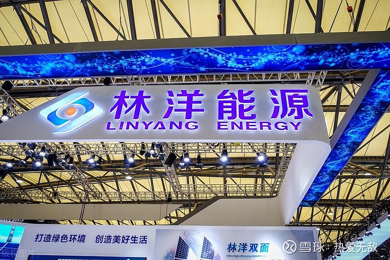 林洋能源什么时候上市,林洋能源的上市时机，深度分析与个人观点