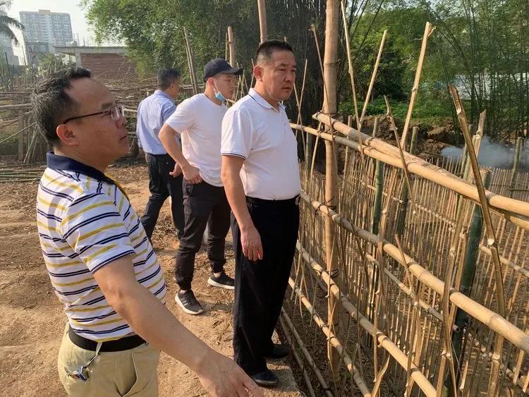 临高最新违章建筑现象，原因解析与应对措施探讨