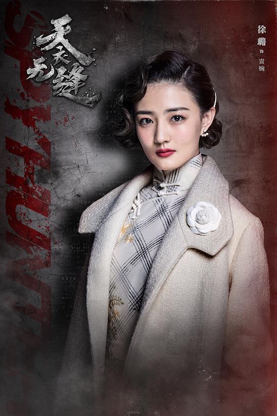 天衣无缝，电视剧的辉煌历程及免费观看指南