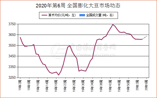 最新黄豆价格动态概览，市场走势一网打尽！
