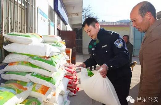 权志高动态深度分析与个人看法