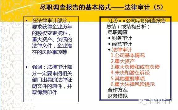 今天晚9点30开正确生肖,实际调研解析_方便版31.213