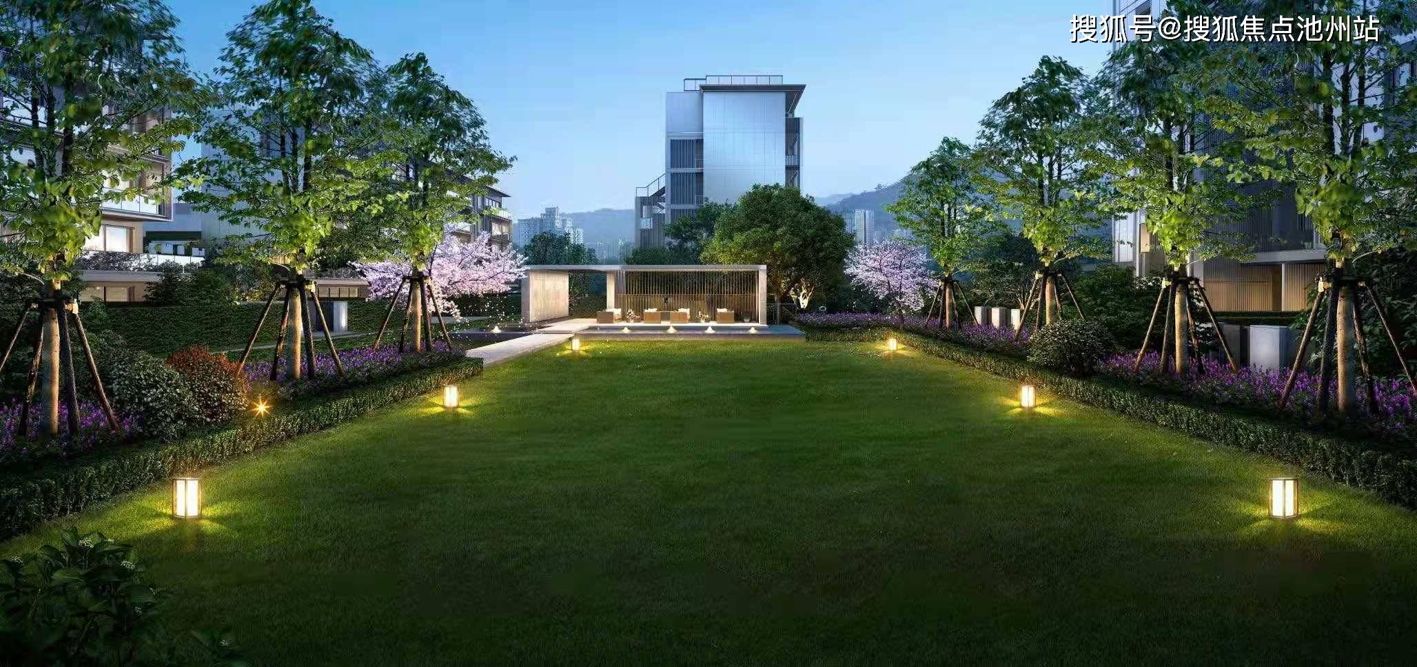 科技赋能下的阿荣旗大豆最新行情，重塑农业魅力，展望市场趋势