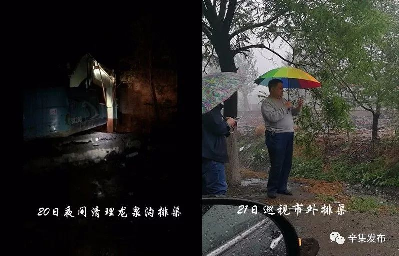 辛集最新动态概览