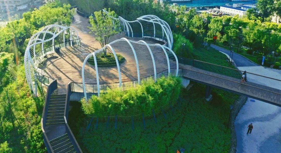 动漫火车世界，领略火车动漫图片的精彩旅程