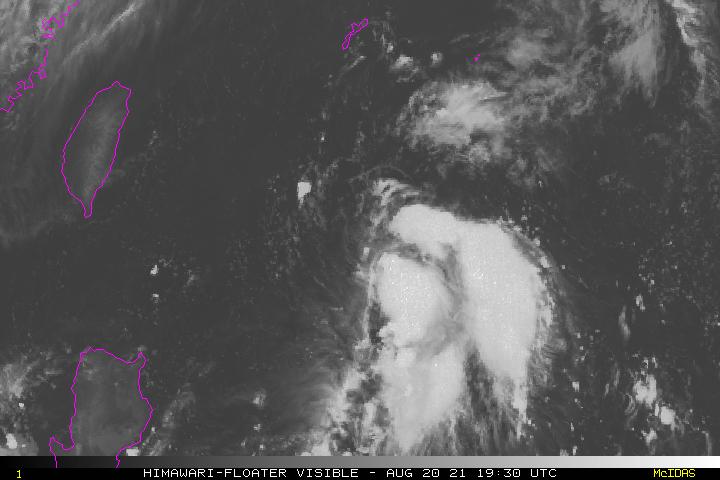 8月台风最新动态概览