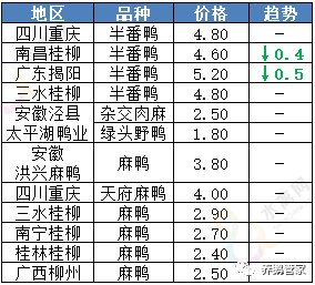 成品番鸭价格分析，市场走势与多元观点探讨