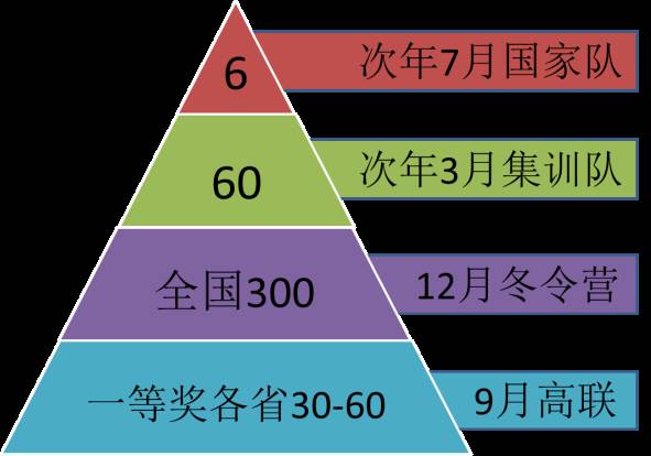 比赛的各个阶段概述