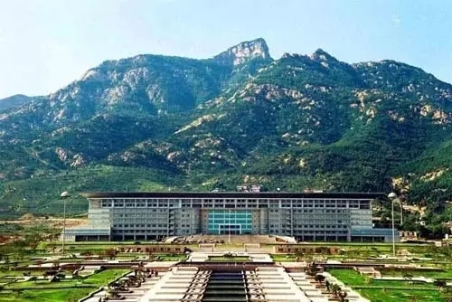泰山最新资讯，登顶梦想，情感之巅的温馨日常体验