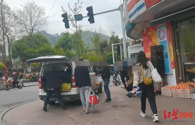 乐山停运最新，探寻自然美景之旅，寻找内心平和与宁静的旅程