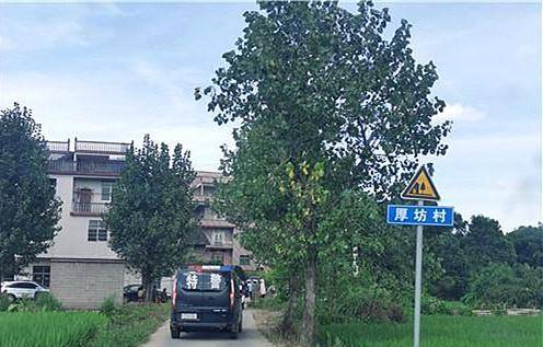 乐安市案件背后的温馨日常与友情陪伴