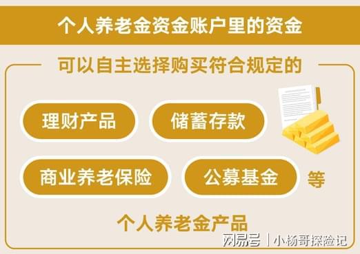 最新保险存款条例详解，存款步骤指南与注意事项