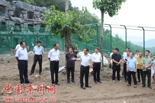 栾川最新动态更新