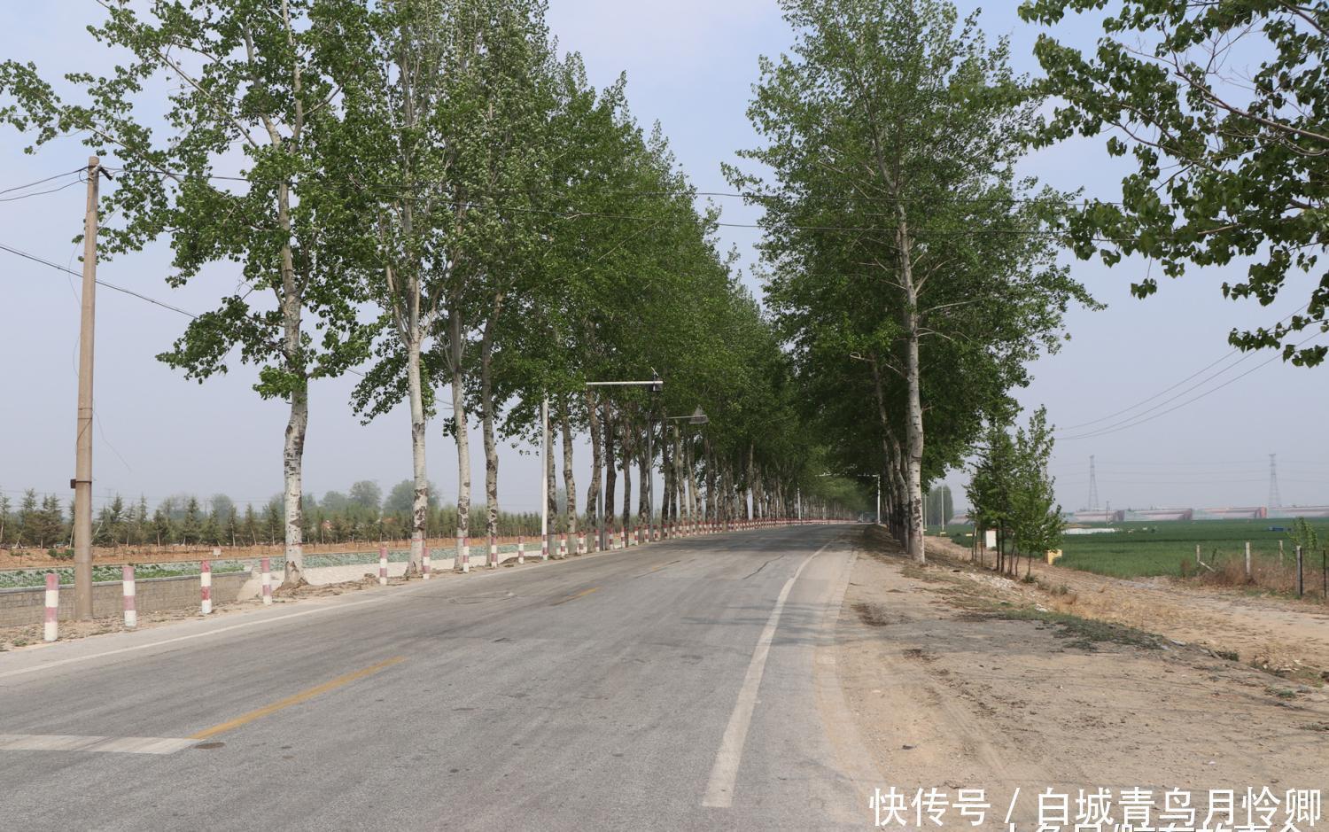 焦如宝最新详细步骤指南，如何完成任务或学习新技能？