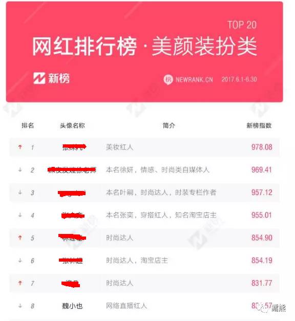 最新网红平台的崛起与影响力，深度探析及其观点分析