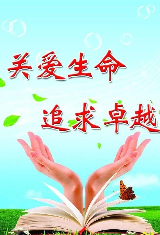 特色小店魅力揭秘，最新时事下的惊喜小巷美食盛宴